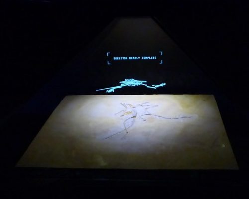 23162244881 f8b0cf3aca c oqt6kay3bhnbq3hl4w1qjzfweuwqgewbsj059bu55s Holo Display 360