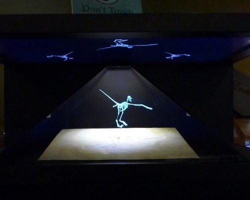 23162246441 2b438a9a17 c Holo Display 270